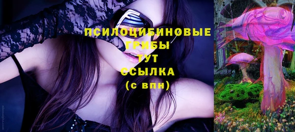 PSILOCYBIN Абдулино