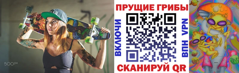 Псилоцибиновые грибы ЛСД  hydra ССЫЛКА  Холмск 