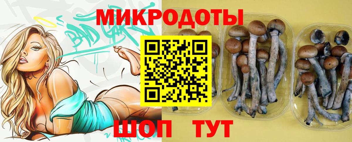Псилоцибиновые грибы GOLDEN TEACHER Холмск