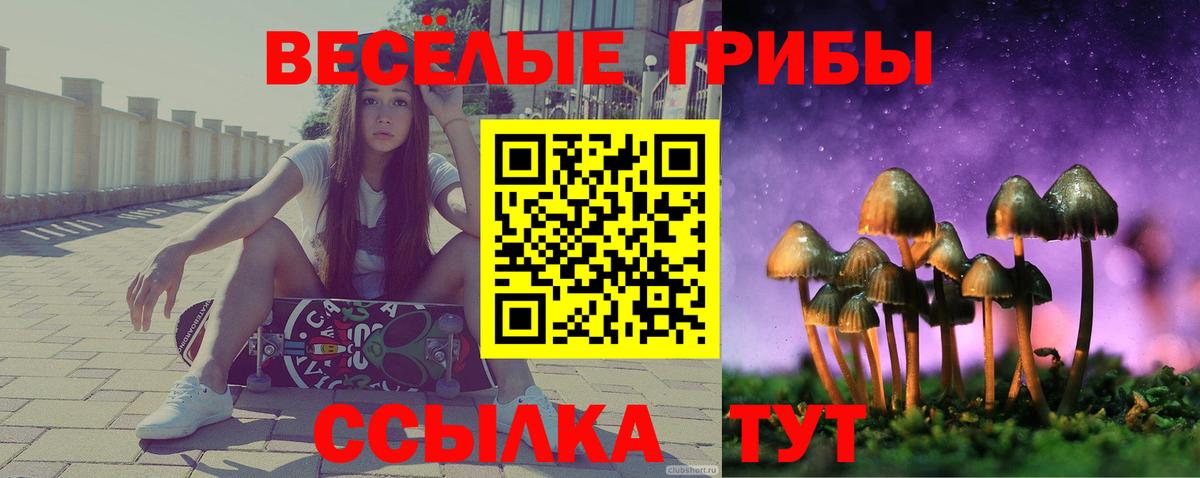 Холмск  Галлюциногенные грибы GOLDEN TEACHER  Галлюциногенные грибы Magic Shrooms  Вход с VPN 